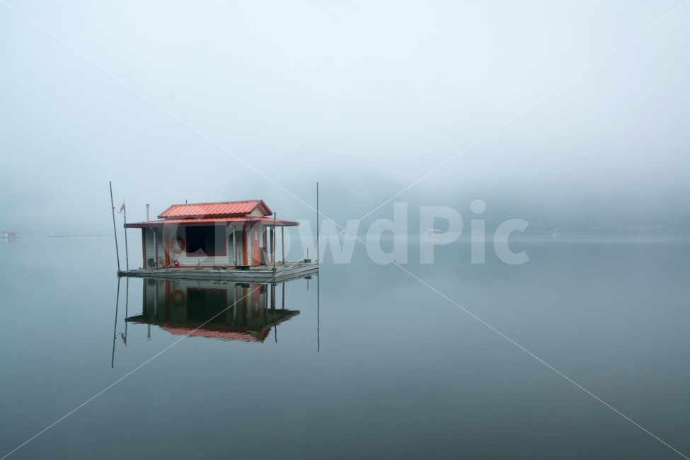 문광저수지,저수지,낚시,아침,고요,안개,은행나무길,괴산,자연,풍경,nature,landscape,한국자연풍경,한국자연경관,korea nature landscape,outdoors,옥외,rural,농촌,building,건물,shelter,피난처
