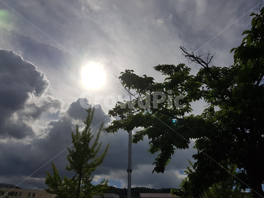 자연,빛,outdoors,옥외,날씨,weather,nature,태양,sun,하늘,sky,구름,cloud