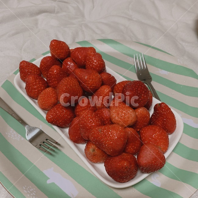 과일,딸기,플레이팅,디저트,후식,strawberry,dessert