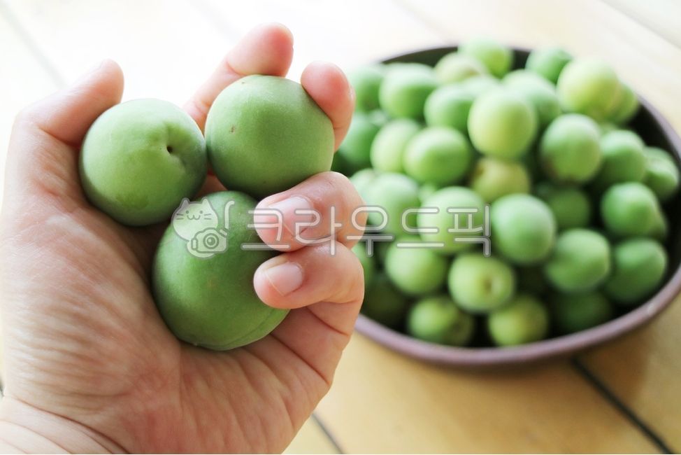 청매실,매실,알맹이,크기,청매실청,풋매실,담그기