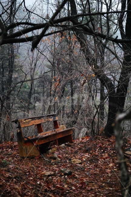 버려짐,나무벤치,우울함,서글픔,잊혀짐,고독함,외로움,쓸쓸함,우울함,슬픔,lonely,solitary,사물,물건,오브젝트,thing,object,matter