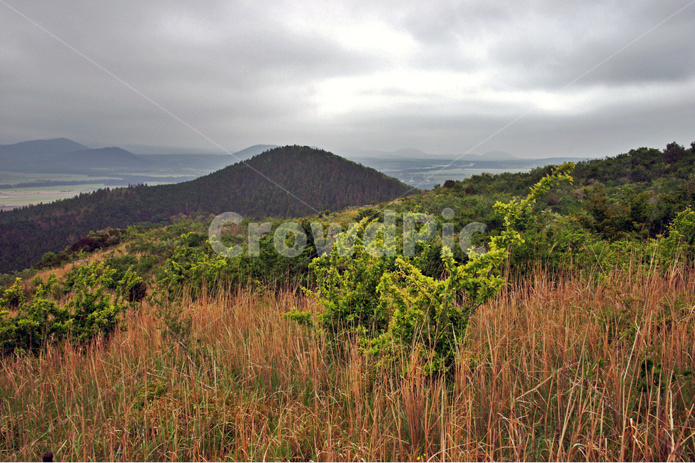 갑마장길,제주도,표선면,가시리,트레일,대록산,자연,풍경,nature,landscape,제주도,jeju,jeju island