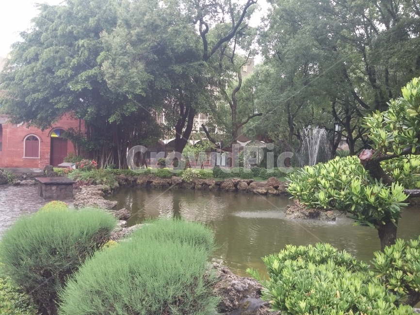 세관부두공원,홍마오청,단수이,호수,공원,대만,나무,식물,자연,plants,nature,나무,trees,wood