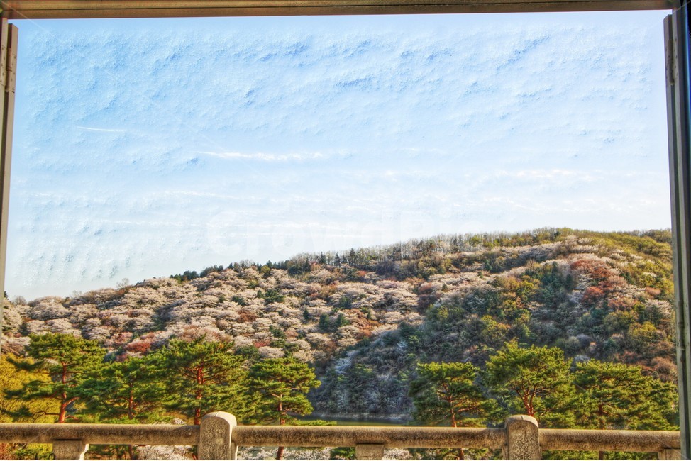 풍경,벚꽃,풍경화,자연,산,봄,계절,spring,season,자연,풍경,nature,landscape