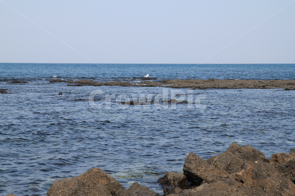 제주도,풍경,제주도풍경,제주도바다,제주바다