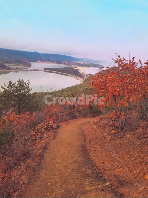 풍경,강,가을,흙길,road,tree,나무,landscape,식물,leaf,잎,river,자연,nature,가을,계절,fall,autumn,season,자연,풍경,nature,landscape