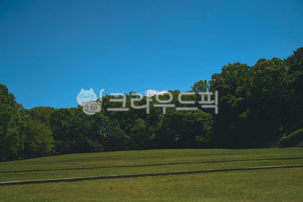 sky,blue sky,nature,clear sky,outdoor park,park background,grassland,cloud,field,outdoors,clear weather,plant,neighborhood walk,park,lawn