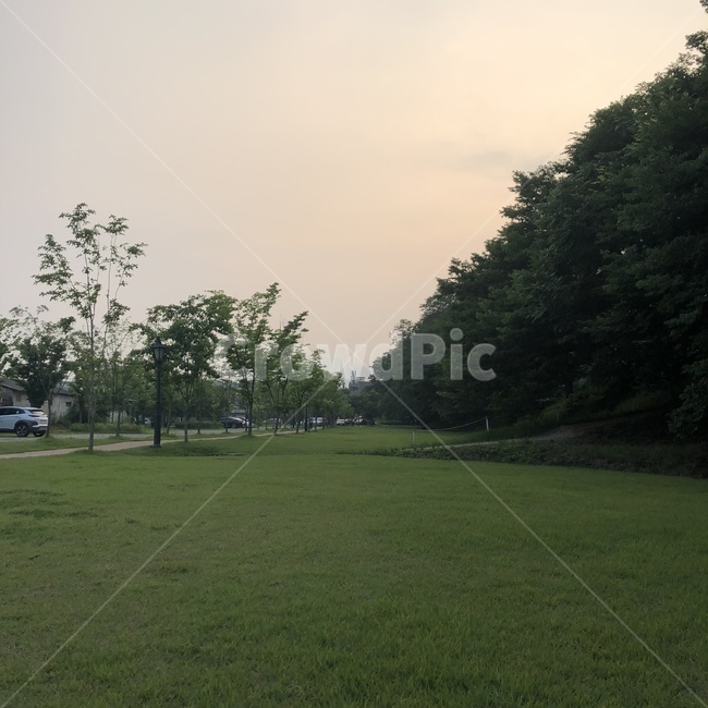 담양,들판,공원,일몰,담양공원