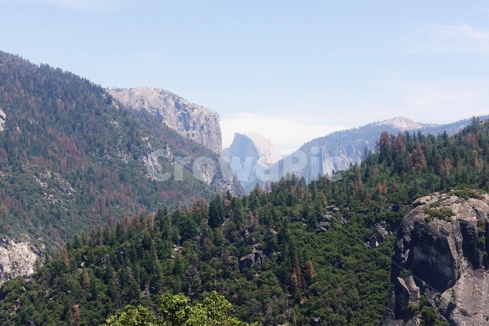 요세미티국립공원,요세미티,하프돔,yosemite,halfdome,노스페이스로고,자연,풍경,nature,landscape,해외,외국,세계,foreign,oversea,world,세계자연풍경,해외자연풍경,외국자연풍경,world nature landscape,tree,나무,plant,식물,fir,전나무,abies,아비