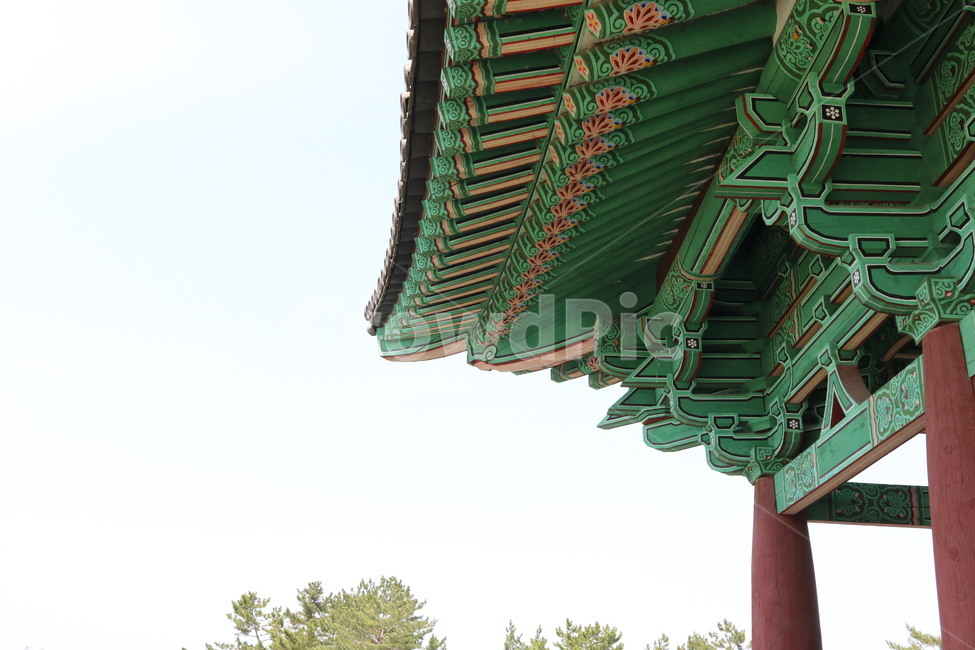 architecture,건축물,building,건물,tile,korean,기와,한국적인,전통의,하늘,자연