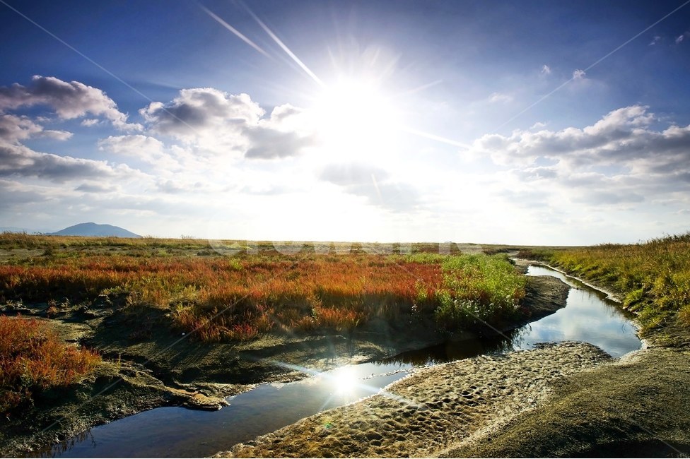 김제,거전리,농촌풍경,오후빛,landscape,자연,풍경,nature,landscape,ditch,도랑,light,빛,flare,플레어,water,물,outdoors,옥외