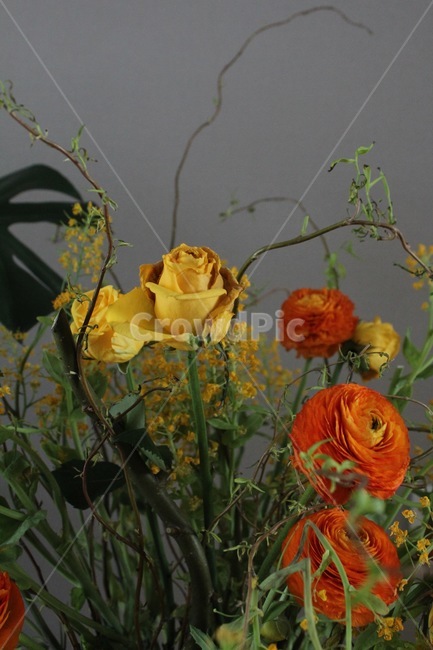 꽃,flower,blossom,장미,수국,나뭇가지,풀,식물,꽃다발,실내,꽃꽃이