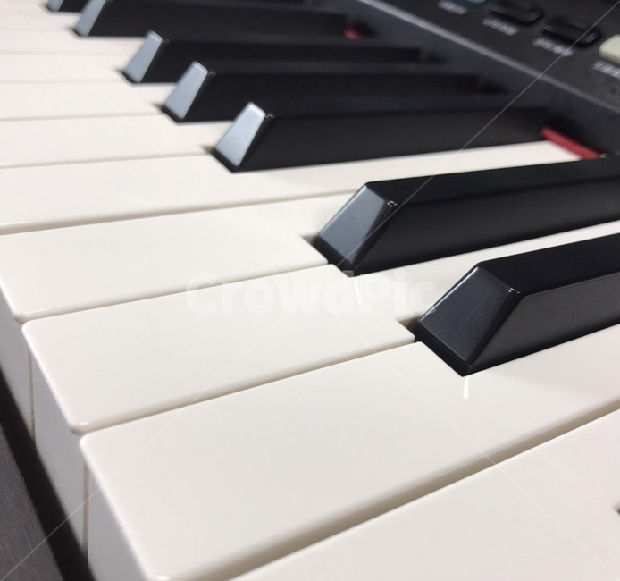 피아노,음악,뮤직,악기,piano,코드
