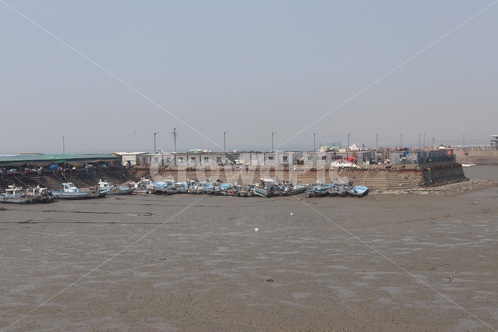 썰물,오이도,해변,바닷가,풍경,산업,industry,industrial,어업,fishery,fishing industry