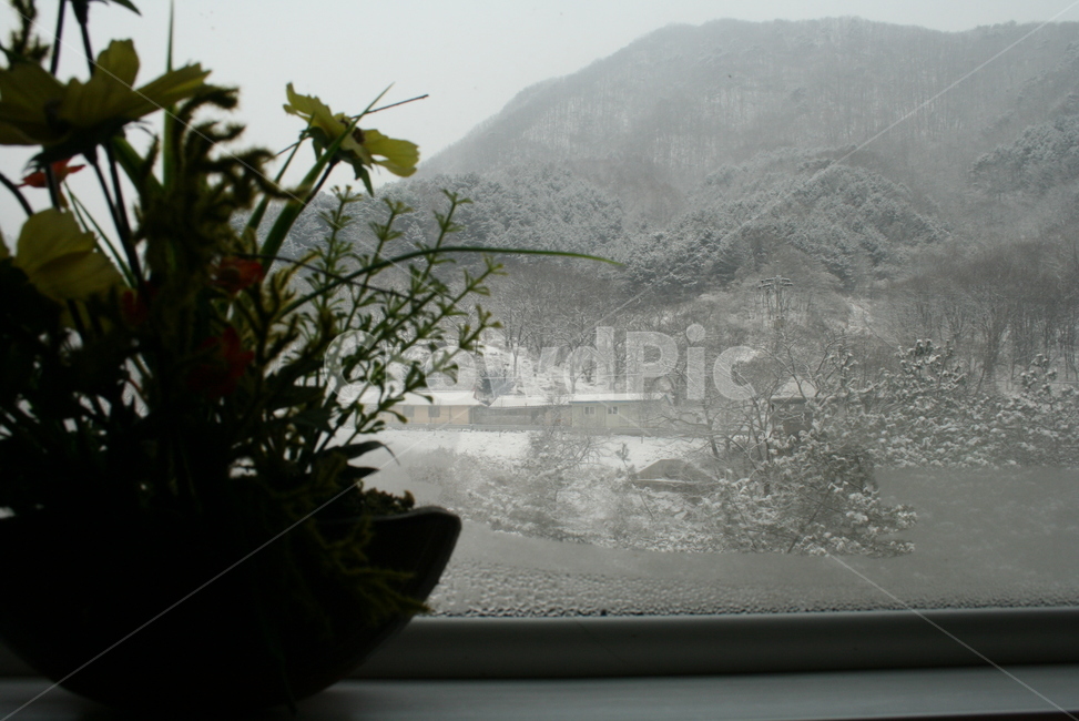 겨울풍경,창밖겨울,실내,내뜻함,눈풍경,시골마을,겨울,계절,winter,season,자연,풍경,nature,landscape,outdoors,옥외