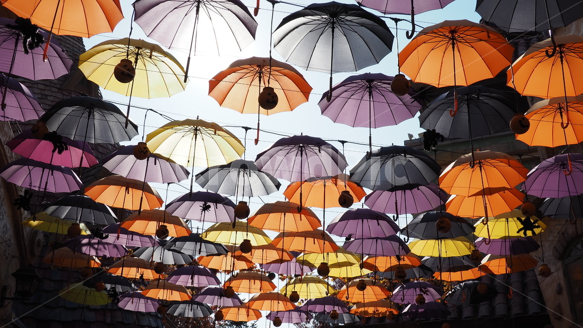 우산,색,컬러,하늘,sky,umbrella,color,colorful,주황색,orange,노란색,yellow,보라색,purple