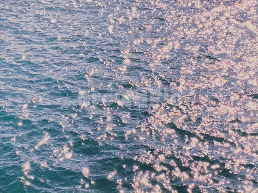 대양,ocean,물,water,바다