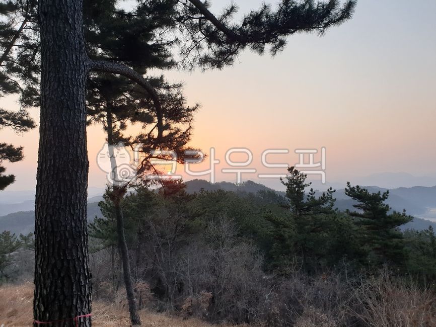 sky,sunrise,New Years Eve,red sky,Sunrise,dawn,new year