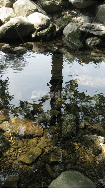 계곡,나무,그림자,개울,잔잔함,돌,자연,풍경,nature,landscape,water,물,outdoors,옥외
