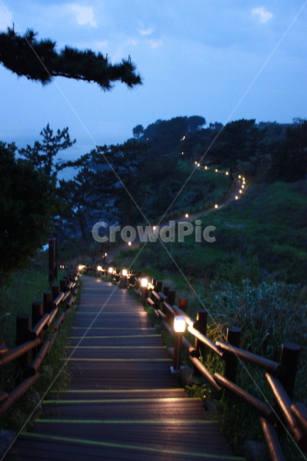 제주,올레길,야경,산책로,비탈산책로,제주올레길,자연풍경,야경,밤,풍경,nightscape,night,landscape