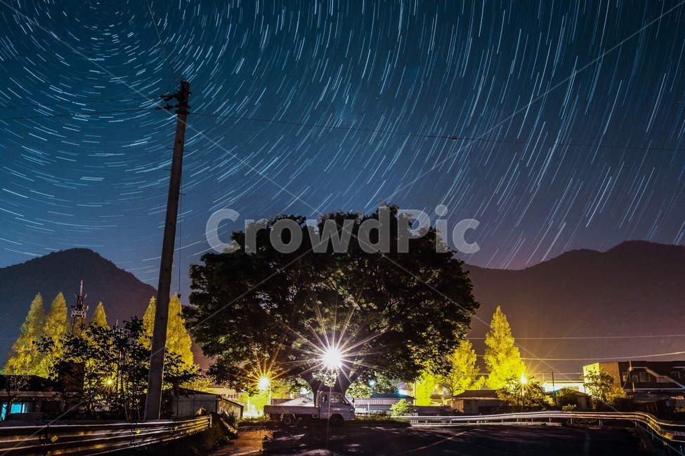 별,별궤적,야경,천년목,보호수,야경,밤,풍경,nightscape,night,landscape,flare,플레어,light,빛,outdoors,옥외