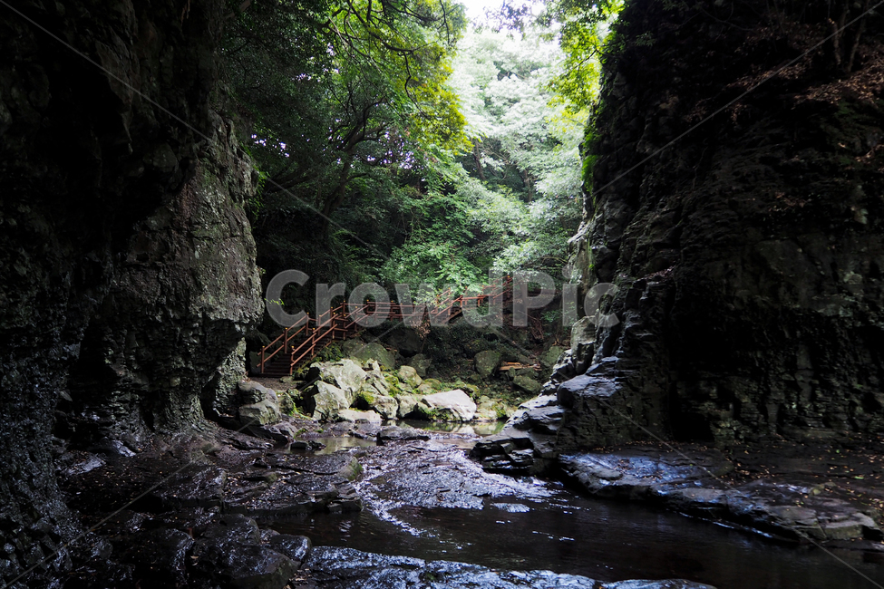 제주도,자연,풍경,jejuisland,jeju,nature,landscape,안덕계곡,협곡,andeokvalley,andeok,valley,자연,풍경,nature,landscape,제주도,jeju,jeju island,outdoors,옥외,stream,흐름,creek,작은 만,water,물
