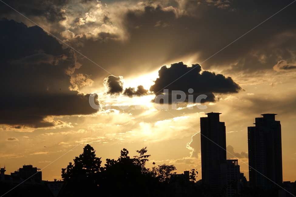 노을,한강공원,석양,풍경,sunset,sky,야경,nightview,도시,풍경,city,landscape,실루엣,그림자,silhouette,shadow,light,빛,flare,플레어,sunlight,햇빛,nature,자연,outdoors,옥외