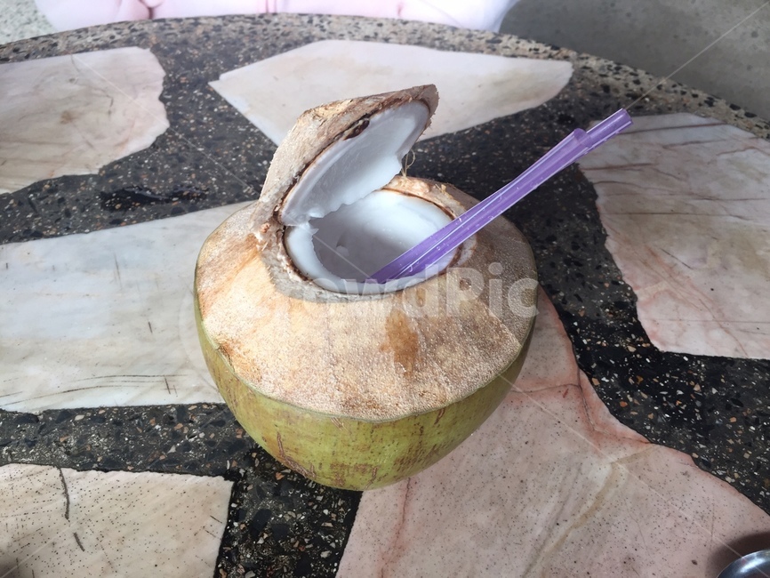 야자,코코넛열매,물,갈증해소,열대과일,음료수,drink,beverage