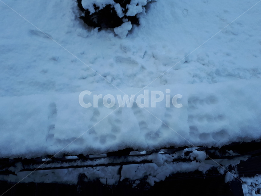 사랑,눈,love,고백,기분좋은,겨울,계절,winter,season,감정표현,기분,feeling,emotion