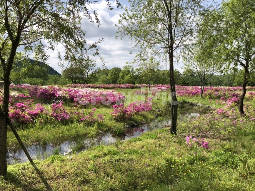 수목원,꽃,나무,식물,자연,자연,풍경,nature,landscape,land,땅,outdoors,옥외,water,물