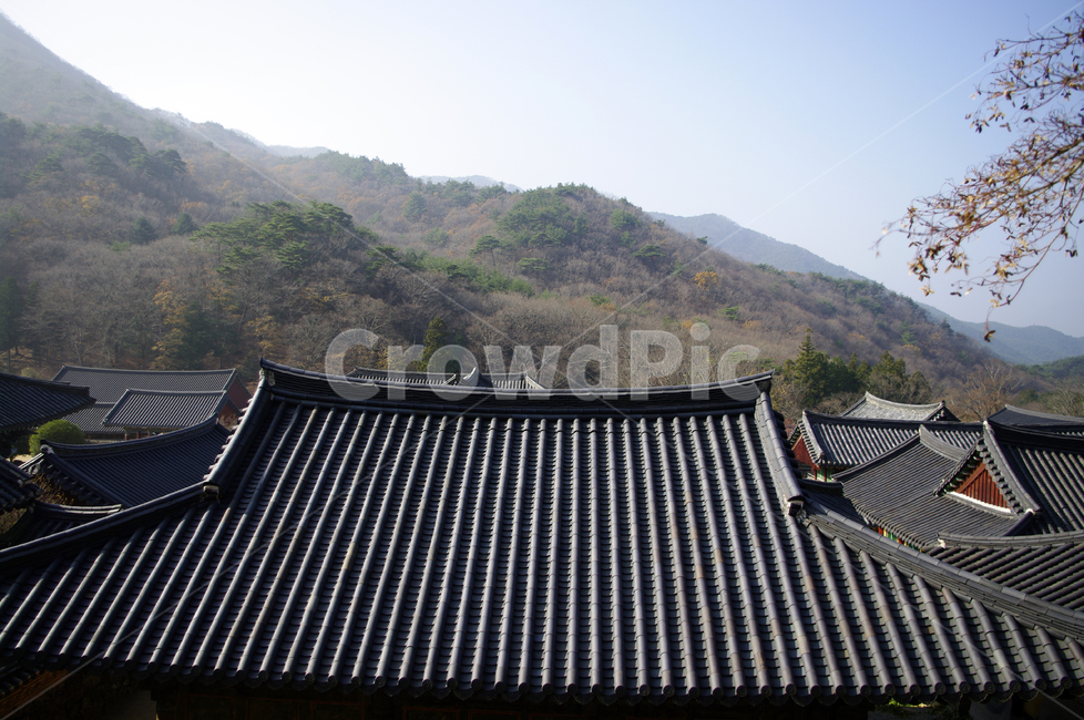 기와지붕,전통,산,사찰,전각,한국,한국전통,한국문화,korean traditional,korean culture,건축물,건물외관,exterior,building,structure,architecture,construction