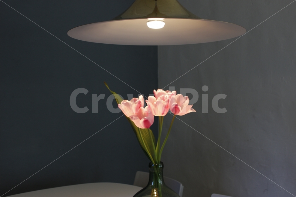 꽃,화분,조명,카페,맛집,인테리어,핫플레이스,감성,flower,cafe,interior,spotlight,식물,자연,plants,nature,인테리어,실내디자인,interior design,감성,sensible,feeling,꽃,flower
