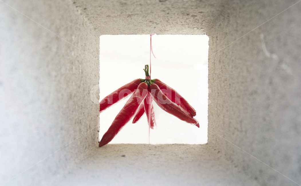 고추,식재료,빨간고추,빨간청량고추,청량고추,hotpepper,food,plants,건조,식품,음식,식재료,요리,food,cook,meal,dishes,food reserves