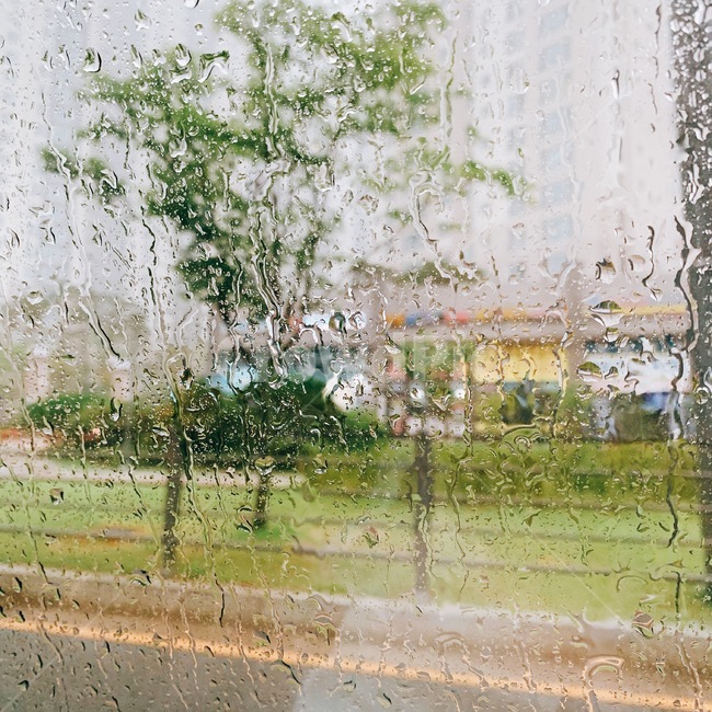 비,빗물,유리,rain,raindrop,비,비오는날,rain,rainy
