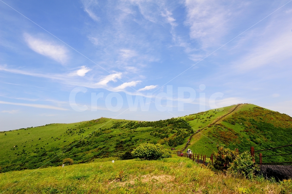 산,등산,명산,여행,소백산,철쭉,자연,풍경,nature,landscape,outdoors,옥외,hill,언덕