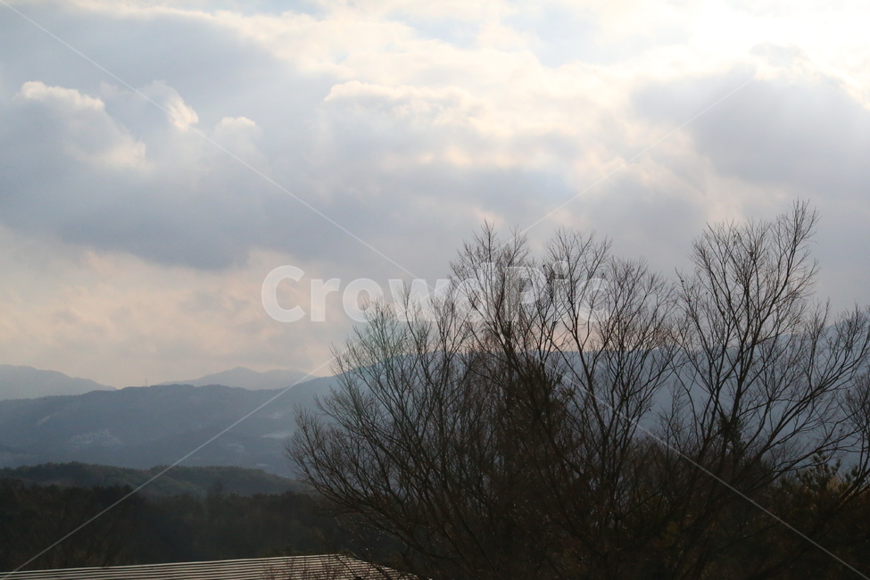 sky,cloud,serenity,clear sky,Jiri Mountain,branch
