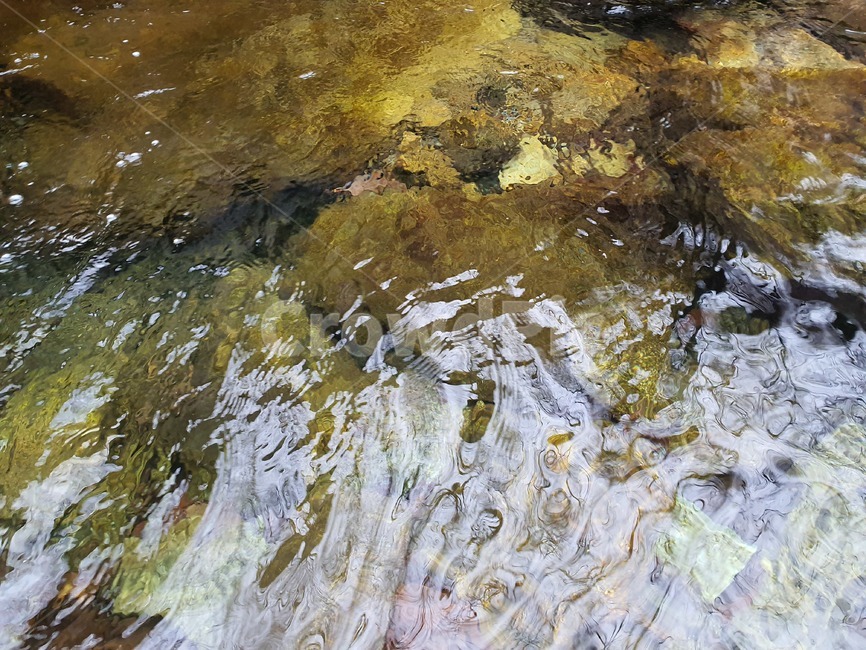 water,계곡,겨울계곡,계곡물,자연,물