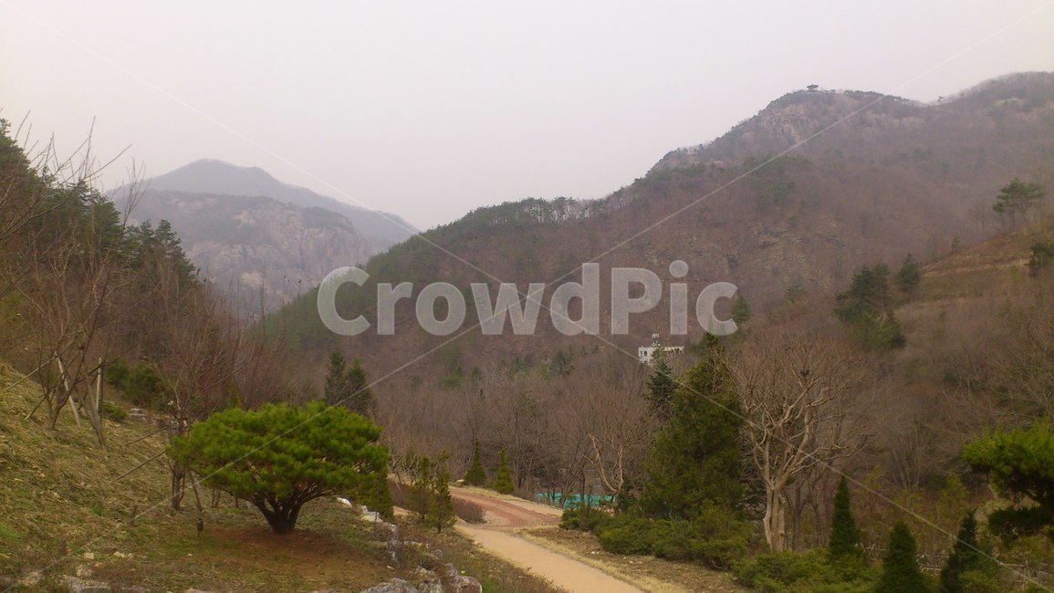 수목원,산,산책로,힐링,나무