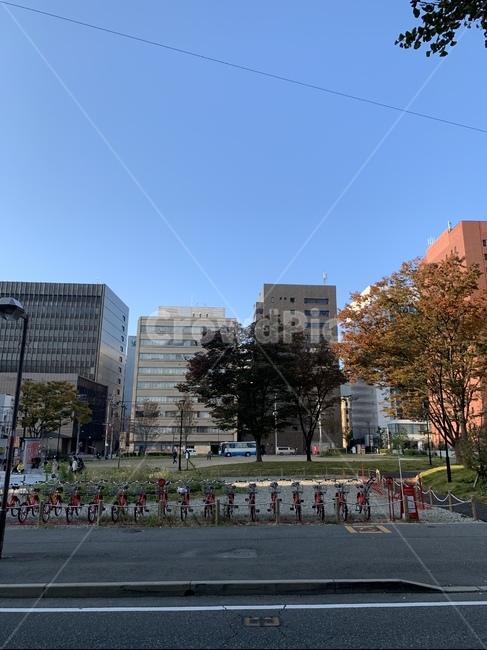 일본,후쿠오카,풍경,일본풍경,거리,도로,공원