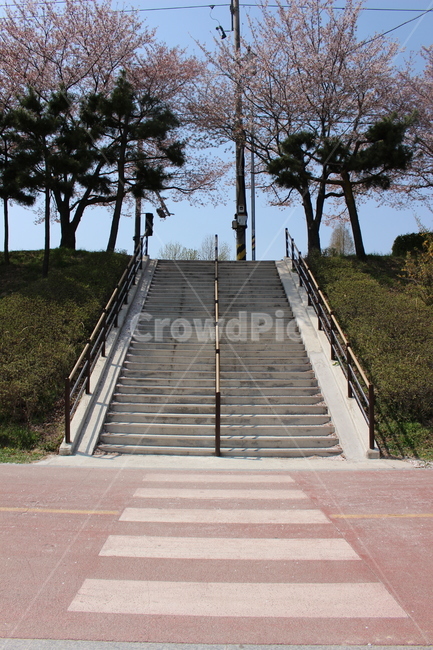 수직적인,계단,수평적인,횡단보도,수직,수평,자연,공원,일상,봄,계절,spring,season,banister,난간,handrail