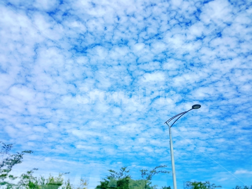 nature,자연,하늘,구름,파란하늘,맑은날씨,sky,crowd,sunny,outdoors,옥외