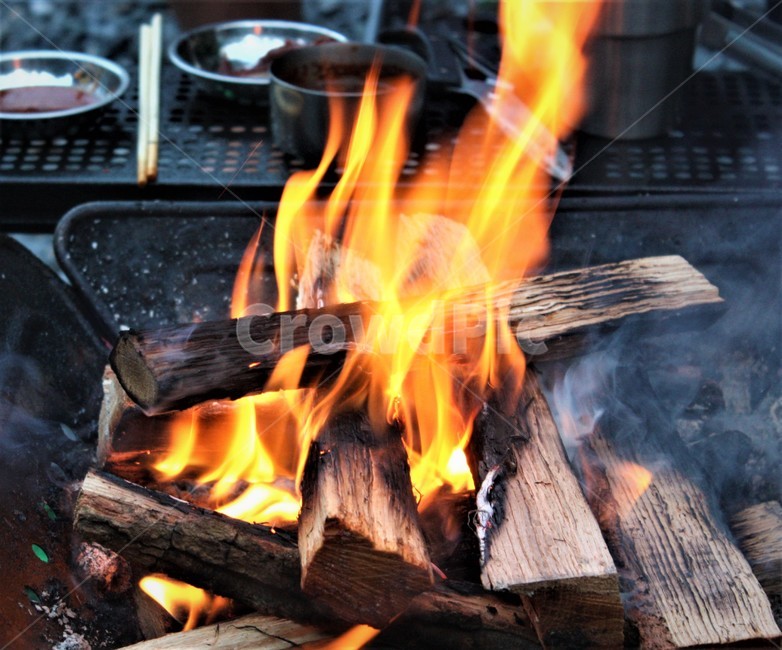 나무,불,fire,camp,tree