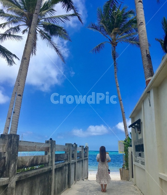 보라카이,boracay,travel,healing,mango,휴가,beach,sea,바다,여행,여름,사람,인물,인간,human,person,여성,여자,woman,female,lady