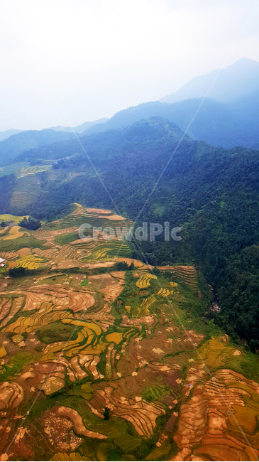 landscape,경치,outdoors,옥외,nature,자연,scenery,풍경,aerialview,조감도,사파,계단식논,판시판,sapa,항공뷰,케이블카뷰