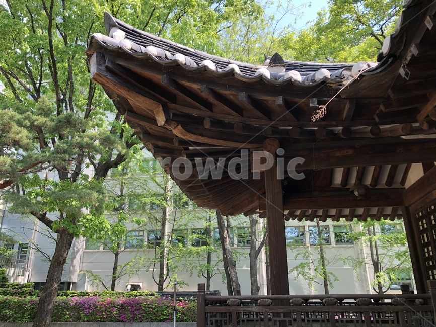 porch,현관,patio,안마당,한옥,koreantraditionalarchitecture,지붕,기와,기와지붕,도심속한옥,한국전통,한국문화,korean traditional,korean culture,건축물,건물외관,exterior,building,structure,architecture,construction