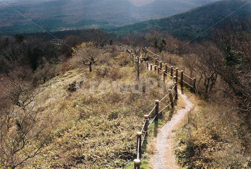 제주,산굼부리,억새,산책로,필름사진,자연,풍경,nature,landscape