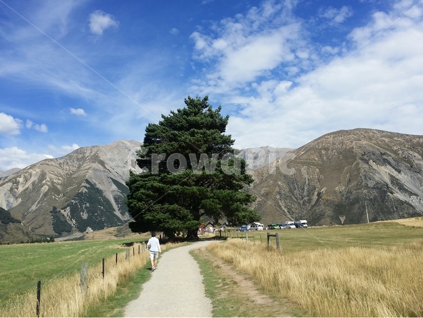 나무,뉴질랜드,여행,풍경,산,목초지,하늘,구름,travel,tree,green,landscape,sky,세계,해외여행,해외,mountain,newzealand,자연,풍경,nature,landscape,해외,외국,세계,foreign,oversea,world,세계자연풍경,해외자연풍경,외국자연풍경,world nature landscape,식물,plants,나무,trees,wood,사람,인물,인간,human,person,outdoors,옥외