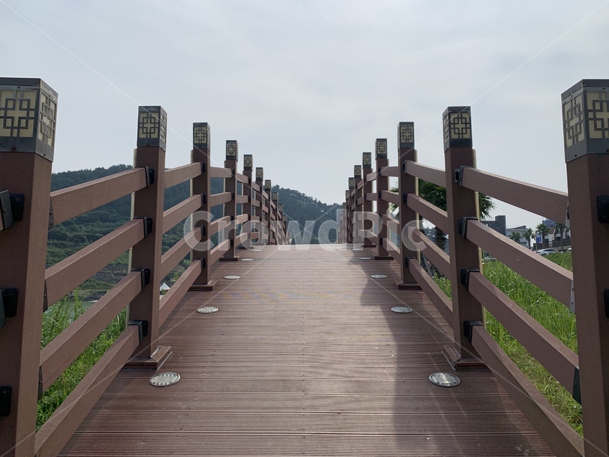 나무다리,구름다리,하늘,길,제주풍경