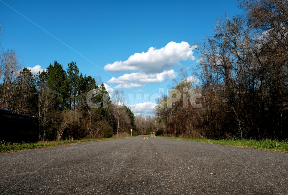 도로,하늘,구름,나무,맑음,자연,풍경,nature,landscape,asphalt,아스팔트,road