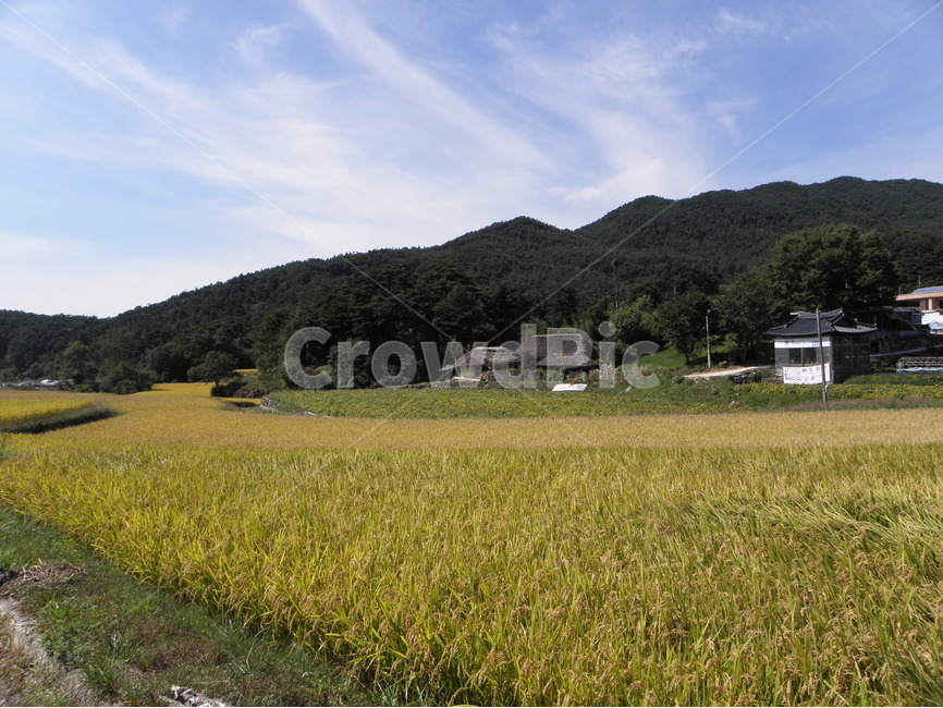 지리산,둘레길,가을,풍경,하늘,가을,계절,fall,autumn,season,자연,풍경,nature,landscape,한국자연풍경,한국자연경관,korea nature landscape,시골,마을,country,rural,town,outdoors,옥외,field,들,grassland,목초지